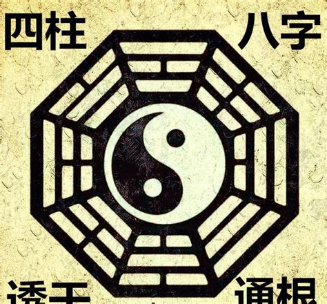 八字 透干|读懂通根、透干、藏干，会断五行旺衰。